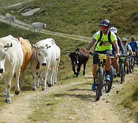 Rifugio Camparient סקופלו