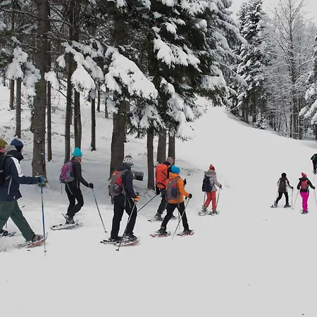 شاليه Rifugio Camparient سكوبيلو