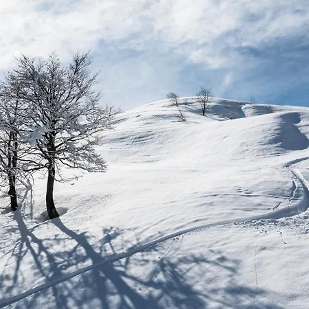 בקתה Rifugio Camparient