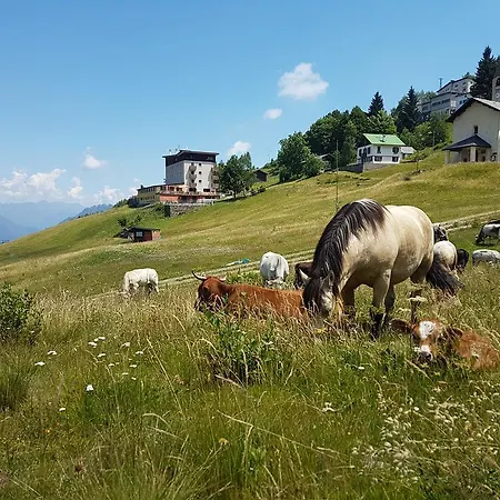 Rifugio Camparient * سكوبيلو