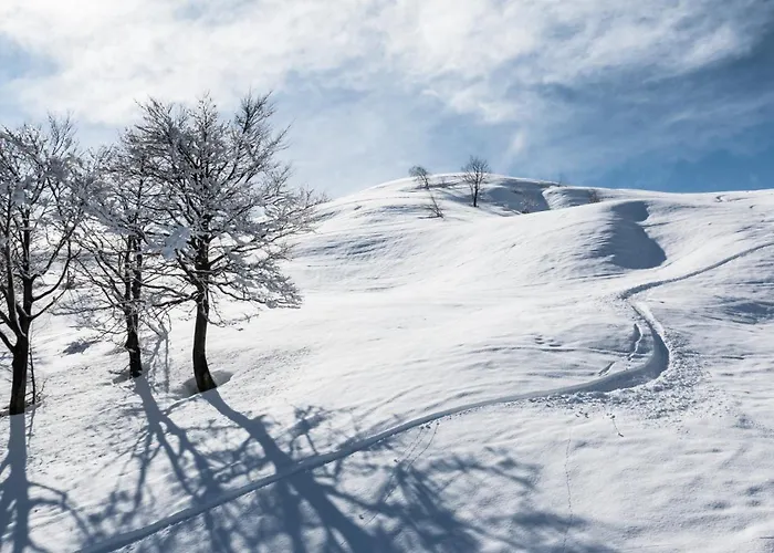 Horská chata Rifugio Camparient