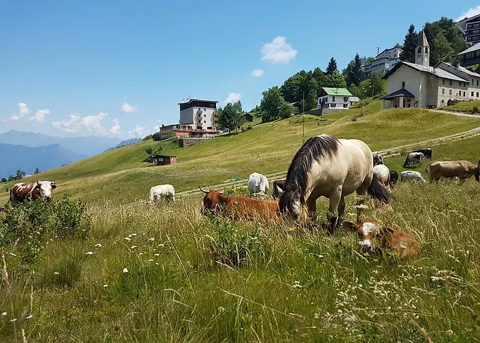 Rifugio Camparient * Scopello (Piedmont)